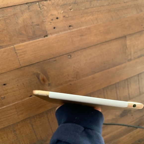iPad Mini 4 - Picture 4 of 5